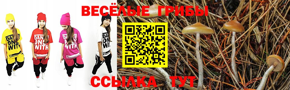 Белогорск  Псилоцибиновые грибы Psilocybine cubensis  Вход с VPN 